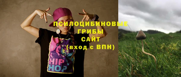 мяу мяу мука Алексеевка