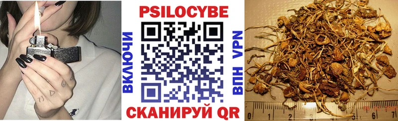 наркота  Новоаннинский  OMG маркетплейс  Псилоцибиновые грибы ЛСД 